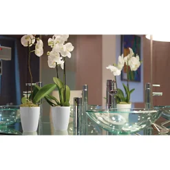 Orchideentopf Fiji Orchid Pot 15 cm transparent