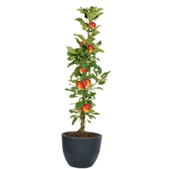 Pflanzgefäß Rillenoptik 31 x 40 cm anthrazit