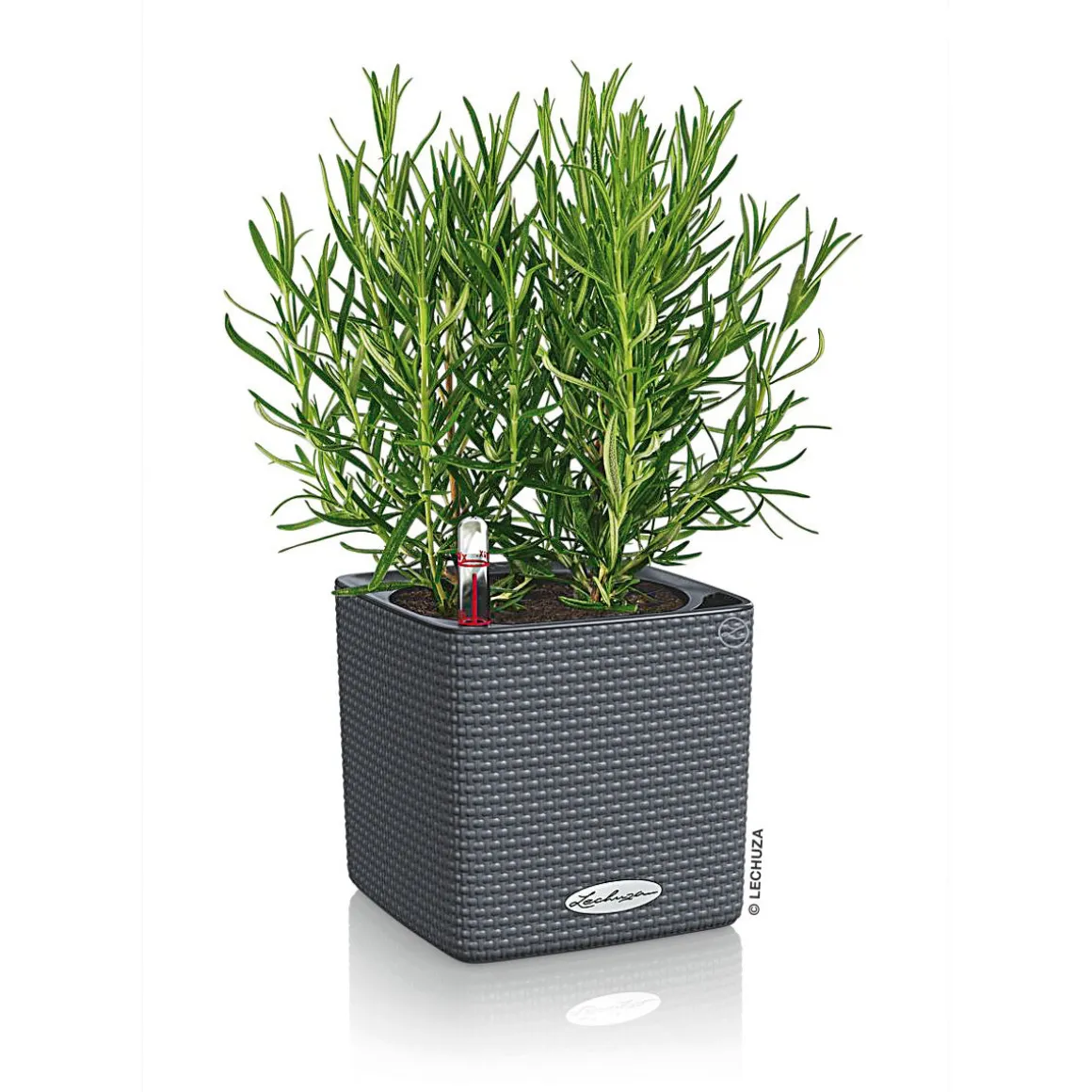 Pflanzkübel Cube Color Komplettset 14 cm schiefergrau