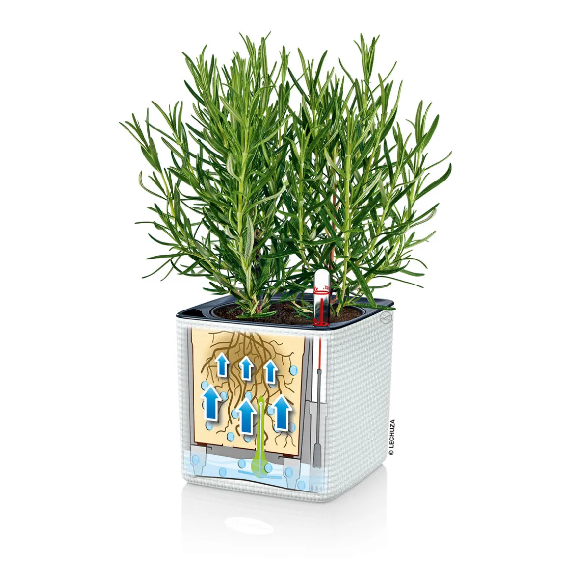 Pflanztopf Cube Color Komplettset 14 cm weiß