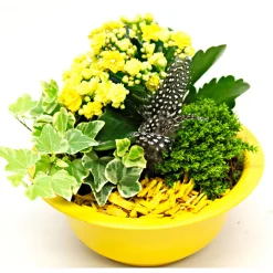 Plantiflor Bepflanzte Gefäße mit Oster-Deko