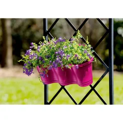 Plantiflor Glockenblume blau Topf 11 cm