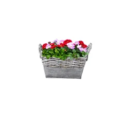 Plantiflor Zink-/Weidenkorb bepflanzt 19 x 12 cm