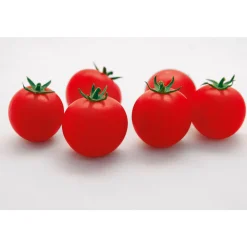 Plantiflor Cocktailtomate Supersweet F1 Topf Durchmesser 11 cm