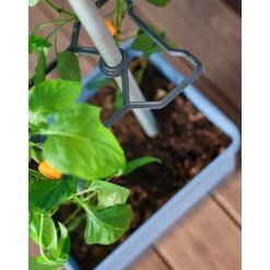 Rankhilfe Charly Chily blau