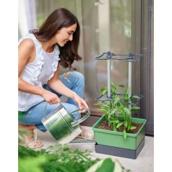 Rankhilfe Charly Chily dunkelgruen