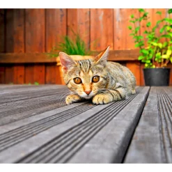 Rettenmeier Bodendiele Kiefer 300 x 14,5 x 2,8 cm