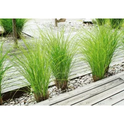 Rettenmeier Terrassendiele grau 300 x 12 x 2,1 cm