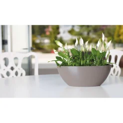 Schale Bahia Plant Box 45 cm anthrazit