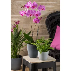 Scheurich Übertopf Dark Stone 920 28 cm