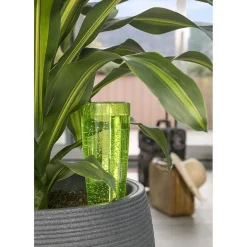 Scheurich Bewaesserungsglas Copa grün 9 x 18 cm