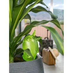 Scheurich Bewässerungsvogel Boerdy XXL green