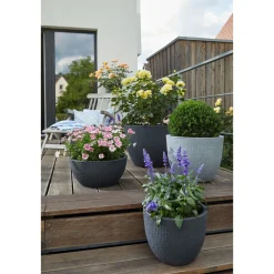 Scheurich Pflanzgefäß Barceo Durchmesser 40 cm Stony black