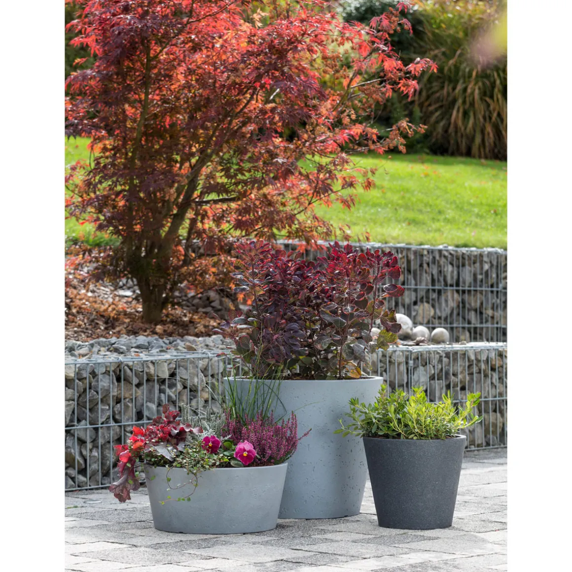 Scheurich Pflanzschale C-Cone BxHxT 38,9 x 17,5 x 38,9 cm Stony Black