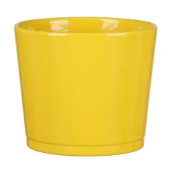 Scheurich Primeltopf Sevilla Gelb 9,4 x 11 cm