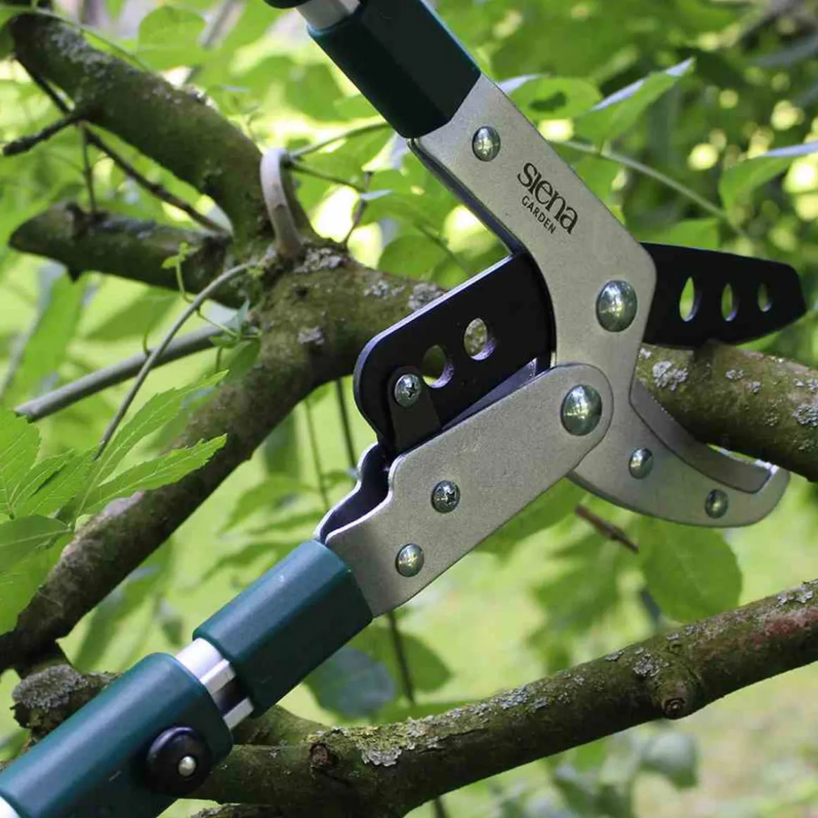 Siena Garden Amboss-Astschere teleskopierbar