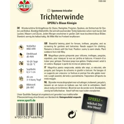 Sperli Trichterwinde s Blaue Königin