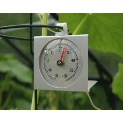 Thermometer