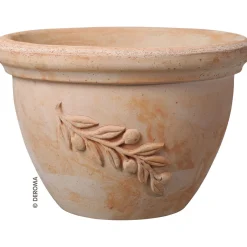 Tonschale Galestro 30 cm Olive