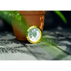 Vitavia Hygrometer Blister