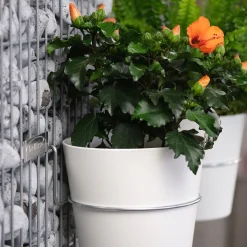 Wandgarten Fermo Einhänger Set 3 Stück