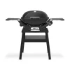 Weber Gasgrill mit Stand Q2200N
