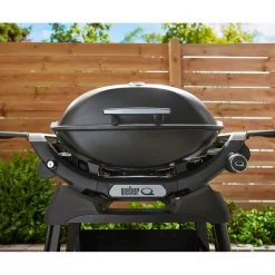Weber Gasgrill mit Stand Q2200N