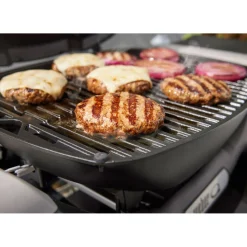 Weber Gasgrill Q1200N