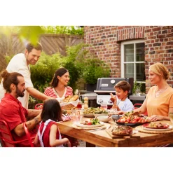 Weber Gasgrill SPIRIT E-210