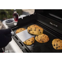 Weber Gasgrill SPIRIT E-425 GBS