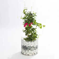 Wilk Gabionen-Pflanzgefäß Amber M