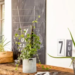 Windhager Blumenstütze 44x24 cm metall