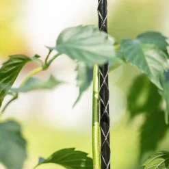 Windhager Fiberglas Pflanzstab 150 cm Durchmesser 8mm