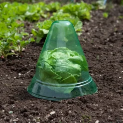 Windhager Pflanzenhut groß 10 Stück Durchmesser 24 cm