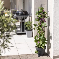 Windhager Ranksäule 2-teilig 175 cm