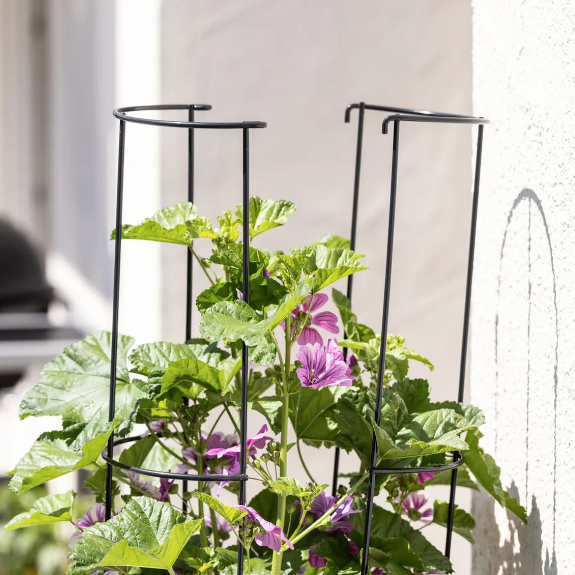 Windhager Ranksäule 2-teilig 175 cm