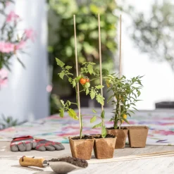 Windhager Splittstäbe 50 cm natur