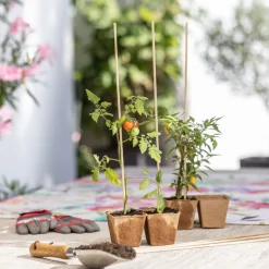 Windhager Splittstäbe 50 cm natur