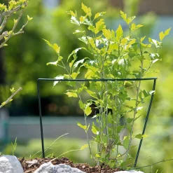 Windhager Staudenstütze 100x40 cm