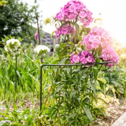 Windhager Staudenstütze 35x40 cm