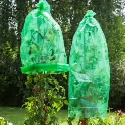 Windhager Tomaten-Folienhaube 1,2x0,6 m 5 Stück