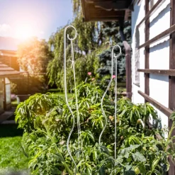 Windhager Tomatenspiralstab mit Haken 180 cm