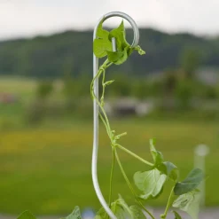 Windhager Tomatenspiralstab mit Haken 180 cm