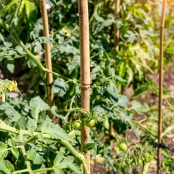 Windhager Tonkinstäbe 120 cm