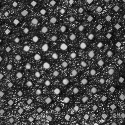 Windhager Unkraut-Vlies 10x0,9 m