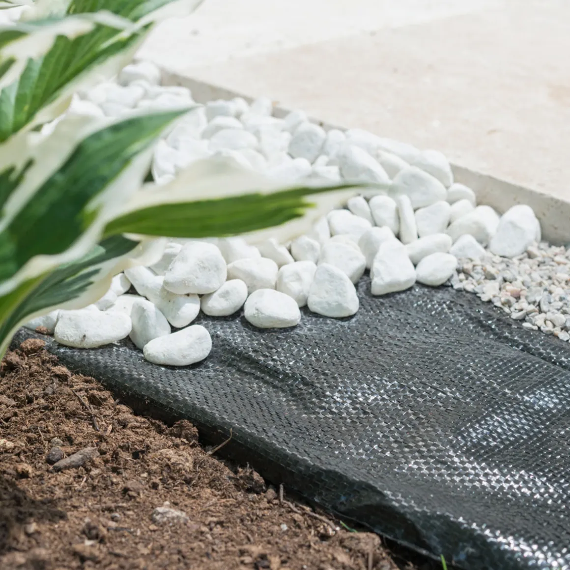 Windhager Unterbodengewebe 5x2 m schwarz