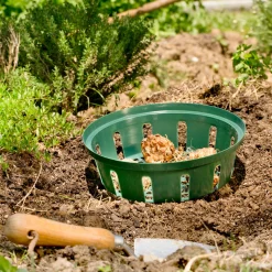 Windhager Zwiebelschalen 30 cm 3 Stück