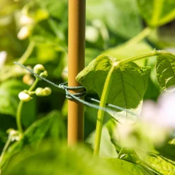 Windhager Rankdraht 50m grün